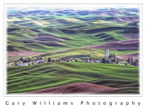 Photographs of fields in the Palouse region of Washington State