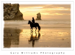 Photograph of horse and rider on a beach at Morro Bay, California