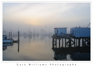 Photograph of boats in the fog at Moss Landing Harbor 