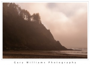 Photograph of cliffs, trees, fog and a beach along the southern Oregon coast at Heceta Head