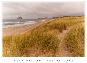 Photograph of coastal grasses, waves, beach, and sea stacks near Neskowin, Oregon