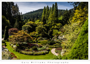 Photograph of the Sunken Garden at the Butchart Gardens, British Columbia, Canada