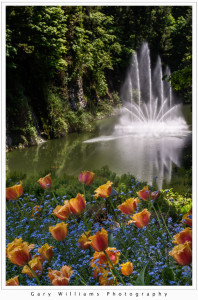 Photograph of the Ross Fountain in the Sunken Garden at the Butchart Gardens, British Columbia, Canada