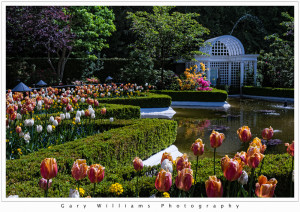 Photograph of the Star Pond at the Butchart Gardens, British Columbia, Canada