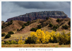 Photograph of a Mesa, cottonwood trees and redrock cliffs at Ghost Ranch near Albiquí, New Mexico