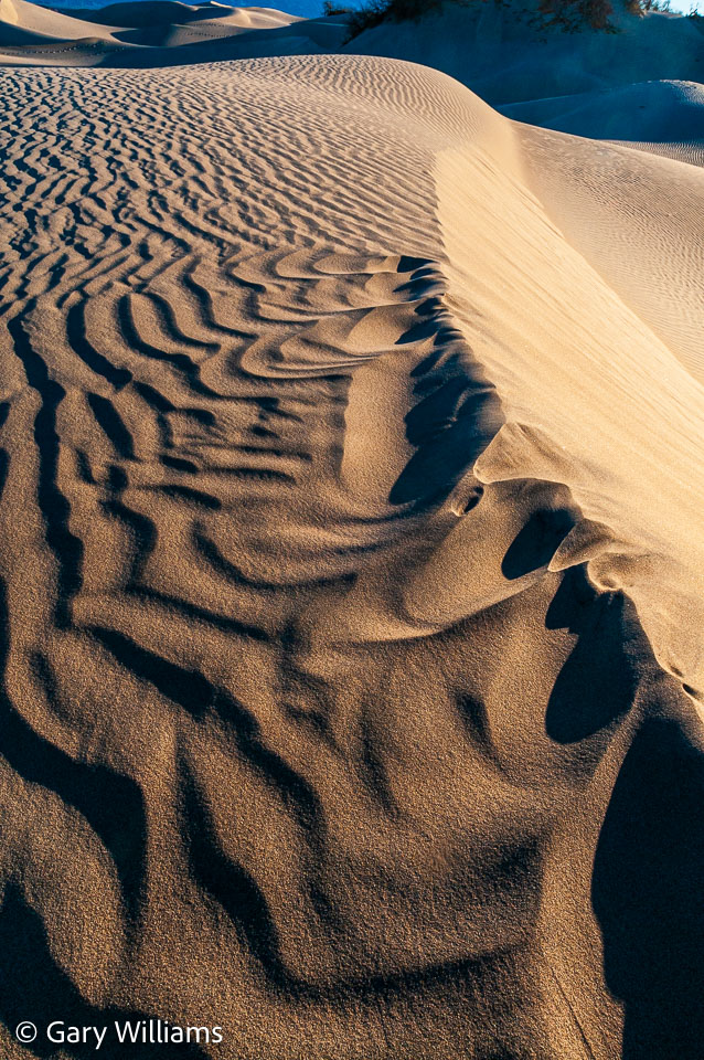 Dunes_01162009_1953.jpg