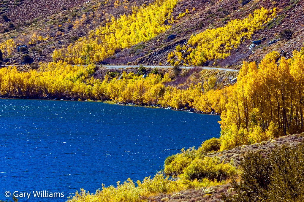 grant-lake-fall-color.jpg